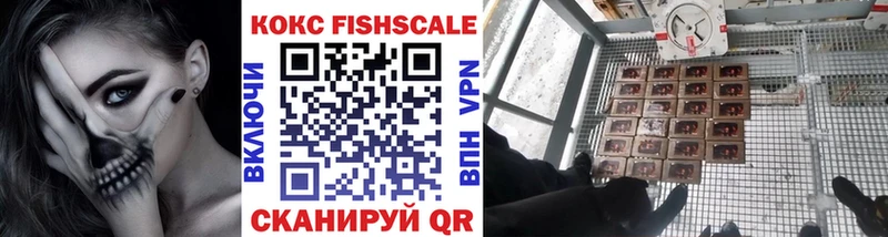 мега tor  хочу наркоту  Камышин  КОКАИН VHQ 