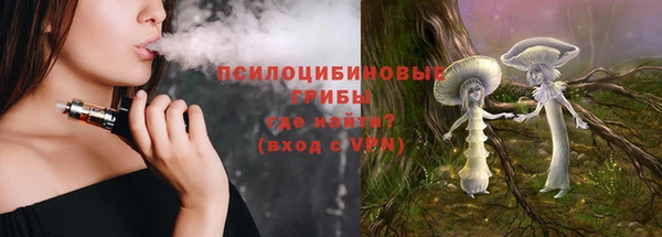 мяу мяу мука Алзамай