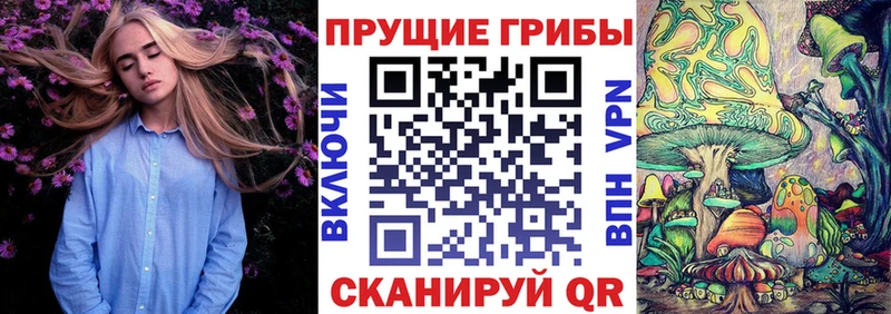 KRAKEN как войти  Камышин  Галлюциногенные грибы Cubensis  где найти наркотики 