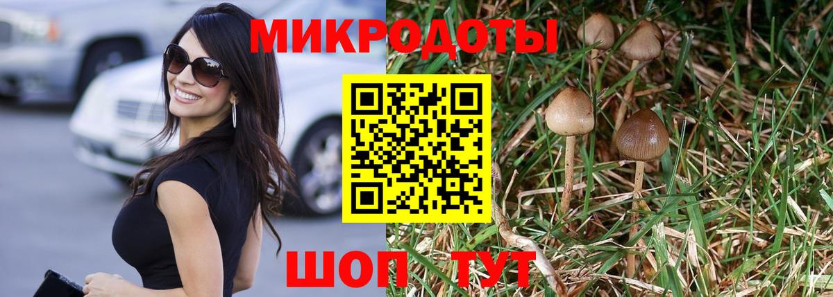 Галлюциногенные грибы мухоморы Камышин