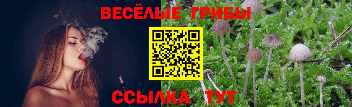 Псилоцибиновые грибы мицелий  Вход с VPN  Камышин 