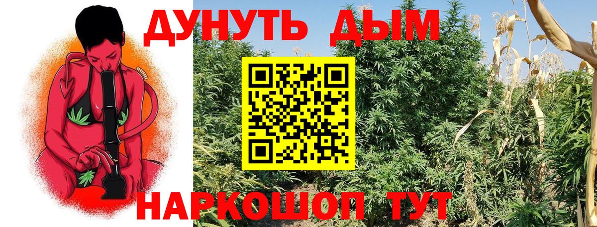 Камышин  Бошки марихуана тримм  Конопля планчик  Вход с VPN 